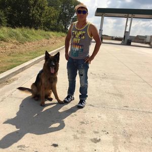 Meet your Posher, Munkhbayar